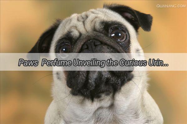 Paws  Perfume Unveiling the Curious UrineSniffing Obsession of Our Furry Friends